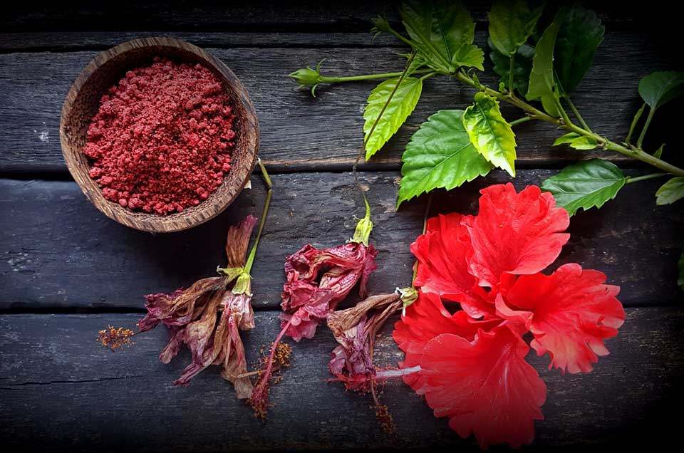 Hibiscus as a Beauty Aid: 7 Tips & Tricks