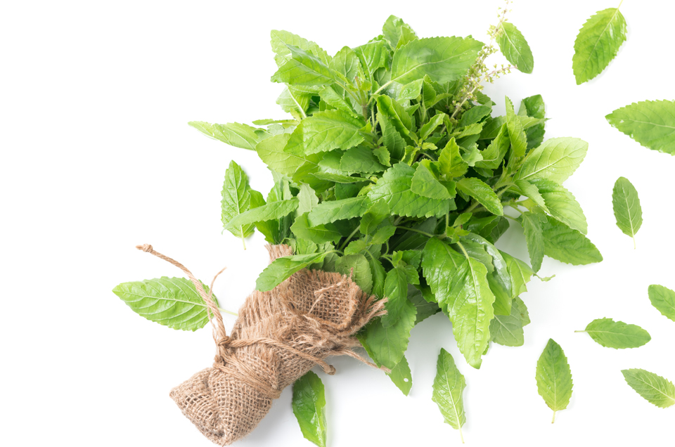 Ayurvedic Herbs That Boost The Functioning of Pancreas